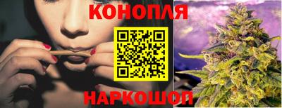 сатива Пенза