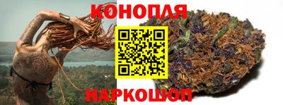 сатива Пенза