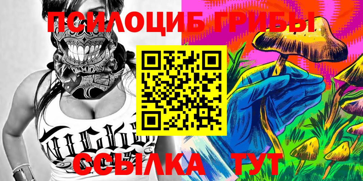 Галлюциногенные грибы GOLDEN TEACHER  Вход с VPN  цена   Сосновый Бор 