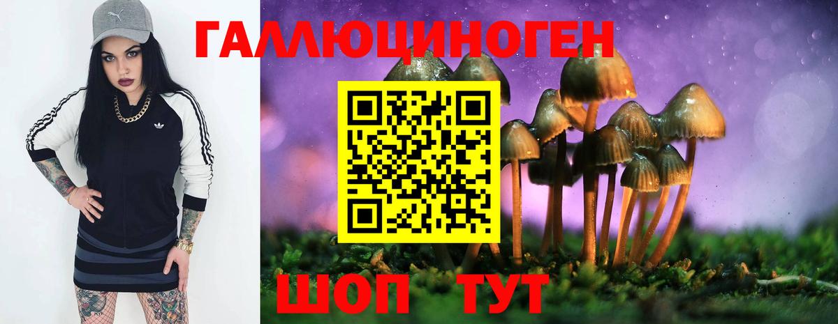 Галлюциногенные грибы GOLDEN TEACHER Сосновый Бор